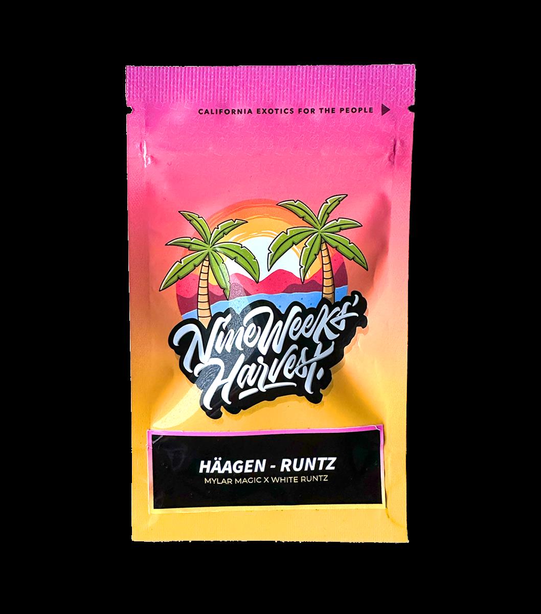 Häagen Runtz (6 Stk. | Feminisiert) - Nine Weeks Harvest