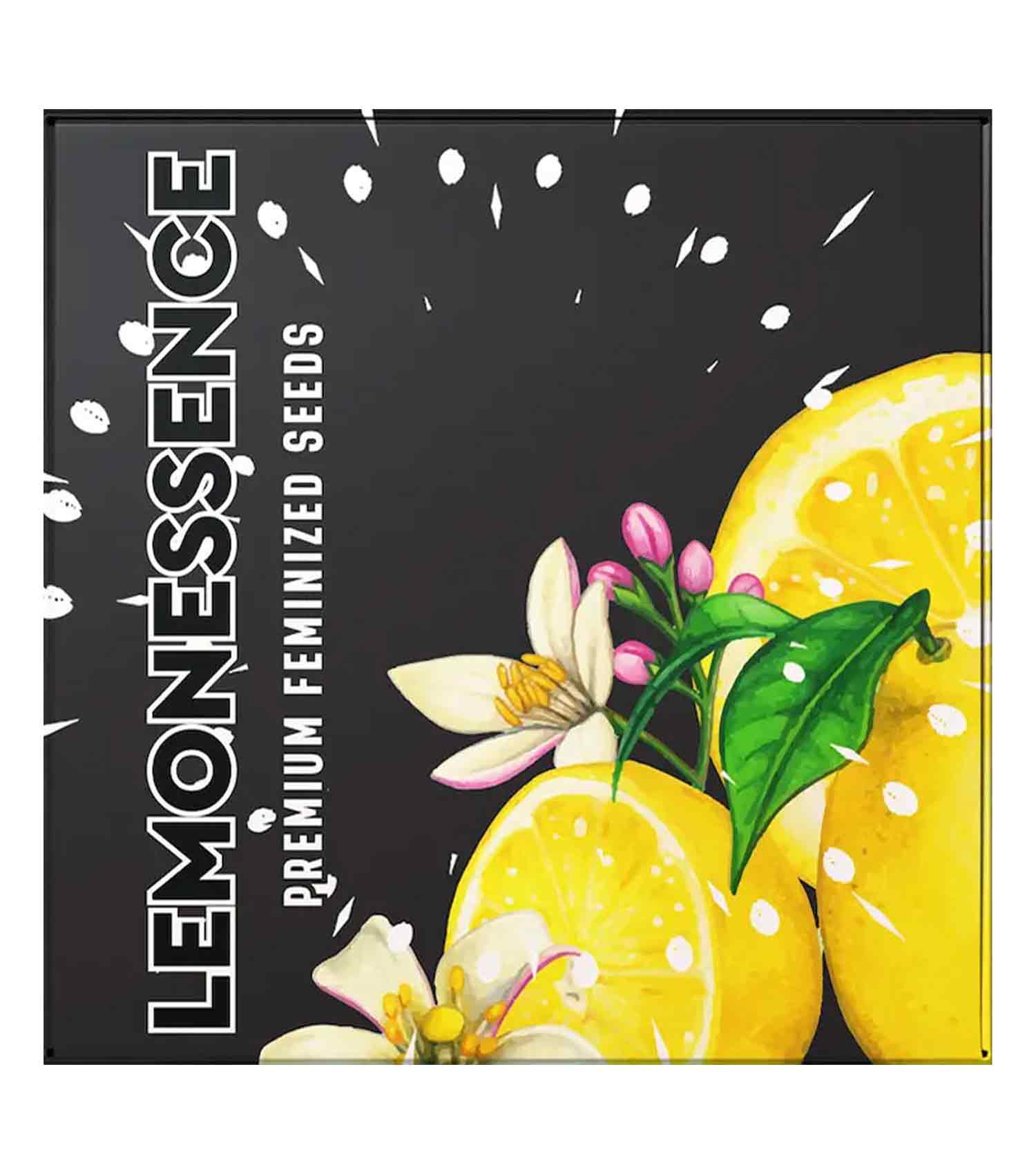 Lemonessence (6 Stk. | Feminisiert) - Doja