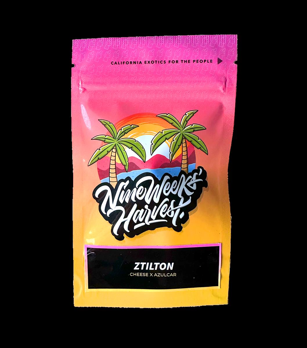 Ztilton (6 Stk. | Feminisiert) - Nine Weeks Harvest