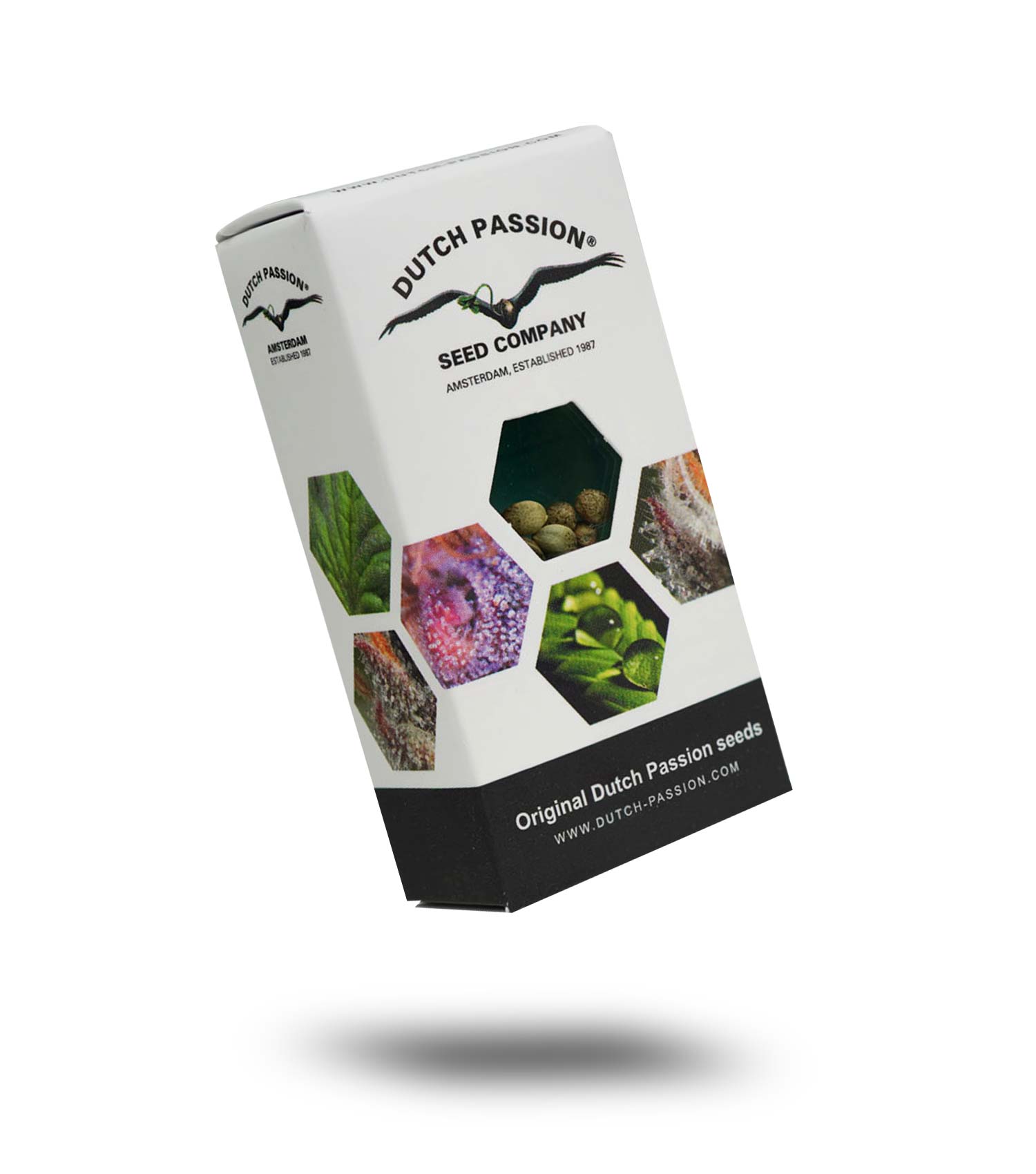 Tropical Tangle (3 Samen | Feminisiert) - Dutch Passion