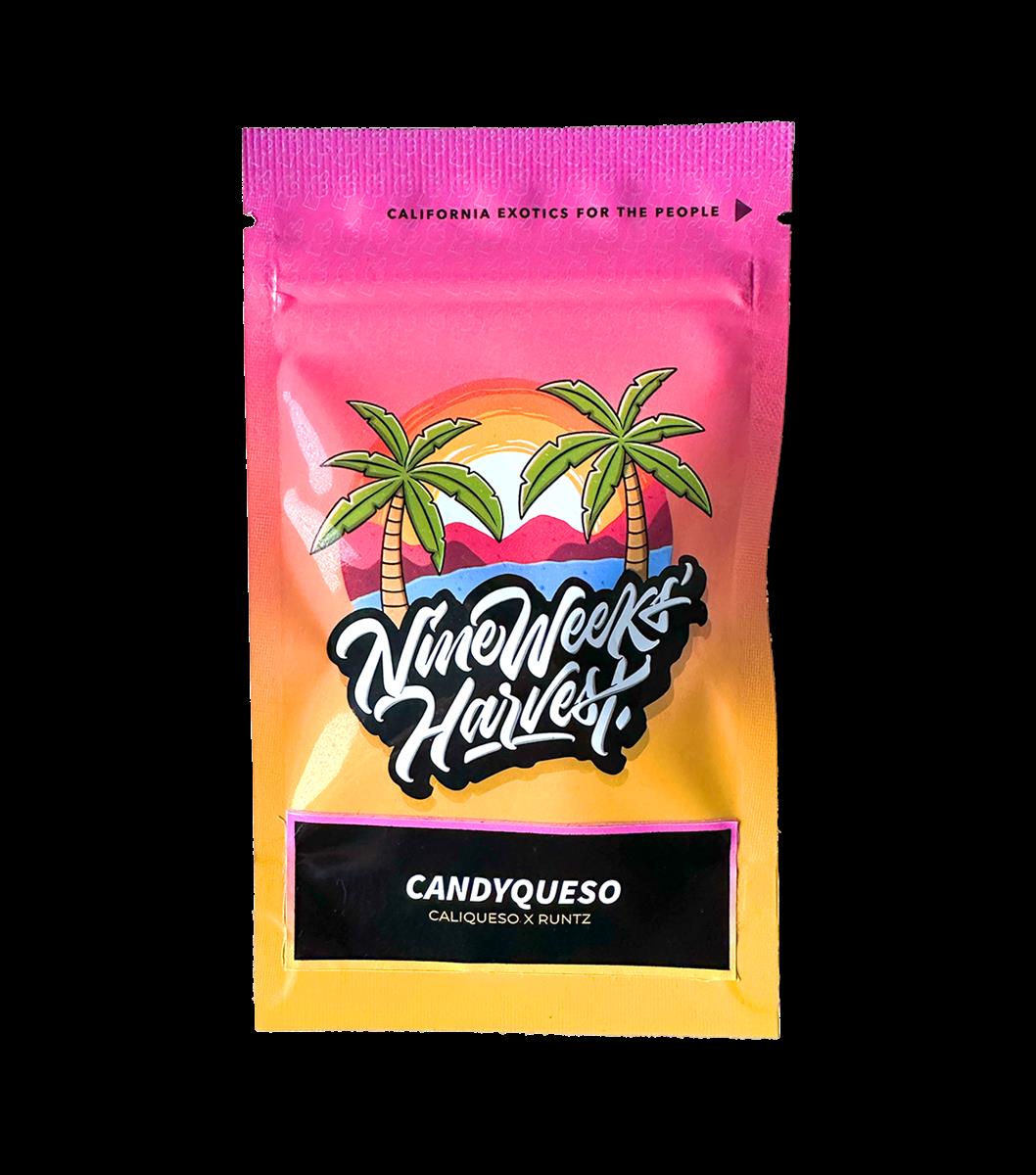 Candyqueso (6 Stk. | Feminisiert) - Nine Weeks Harvest