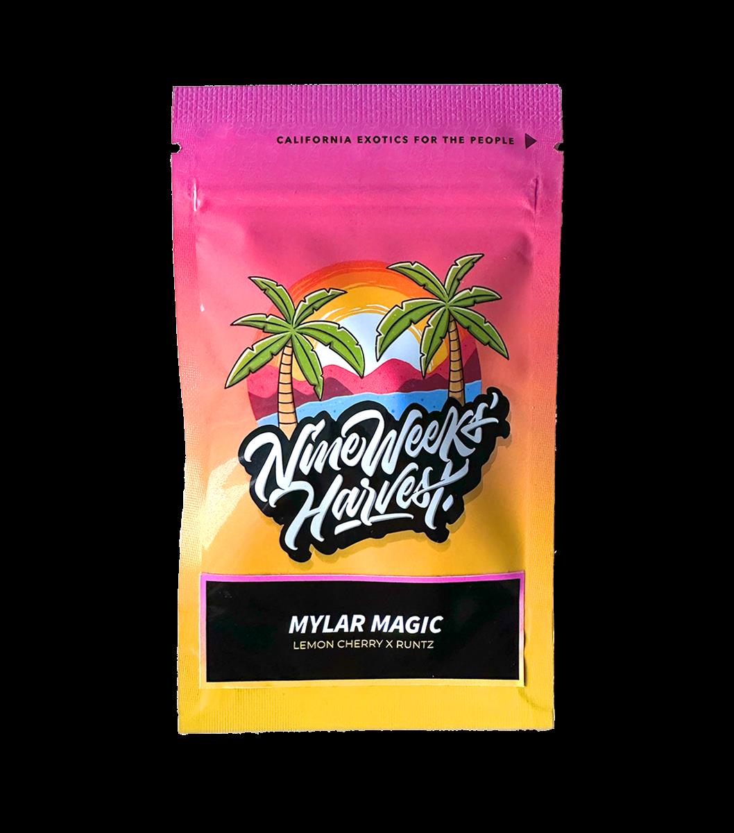 Mylar Magic (6 Stk. | Feminisiert) - Nine Weeks Harvest