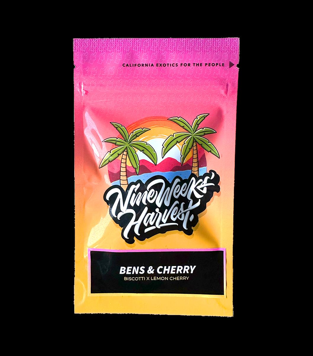 Bens & Cherry (6 Stk. | Feminisiert) - Nine Weeks Harvest