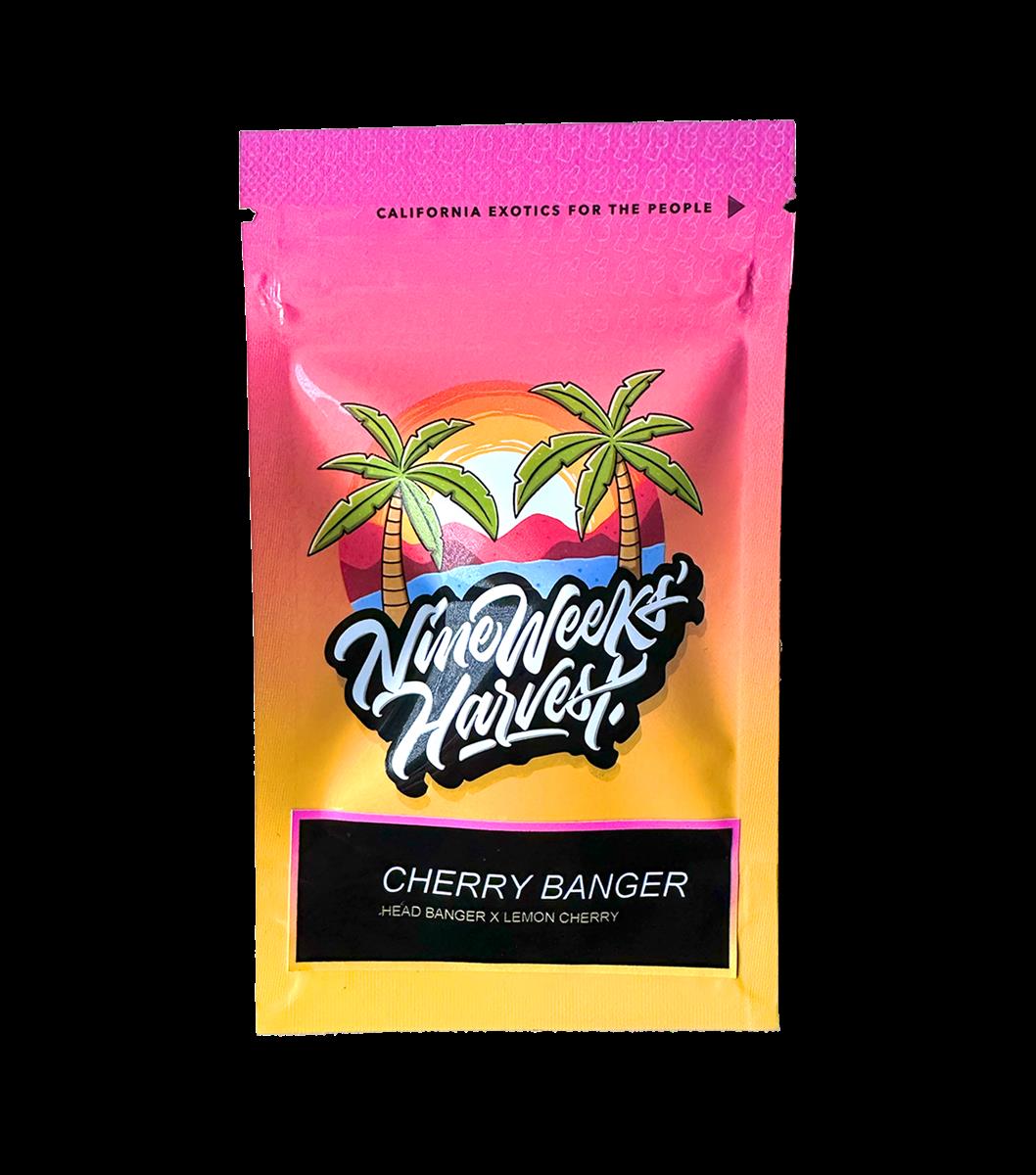 Cherry Banger (6 Stk. | Feminisiert) - Nine Weeks Harvest