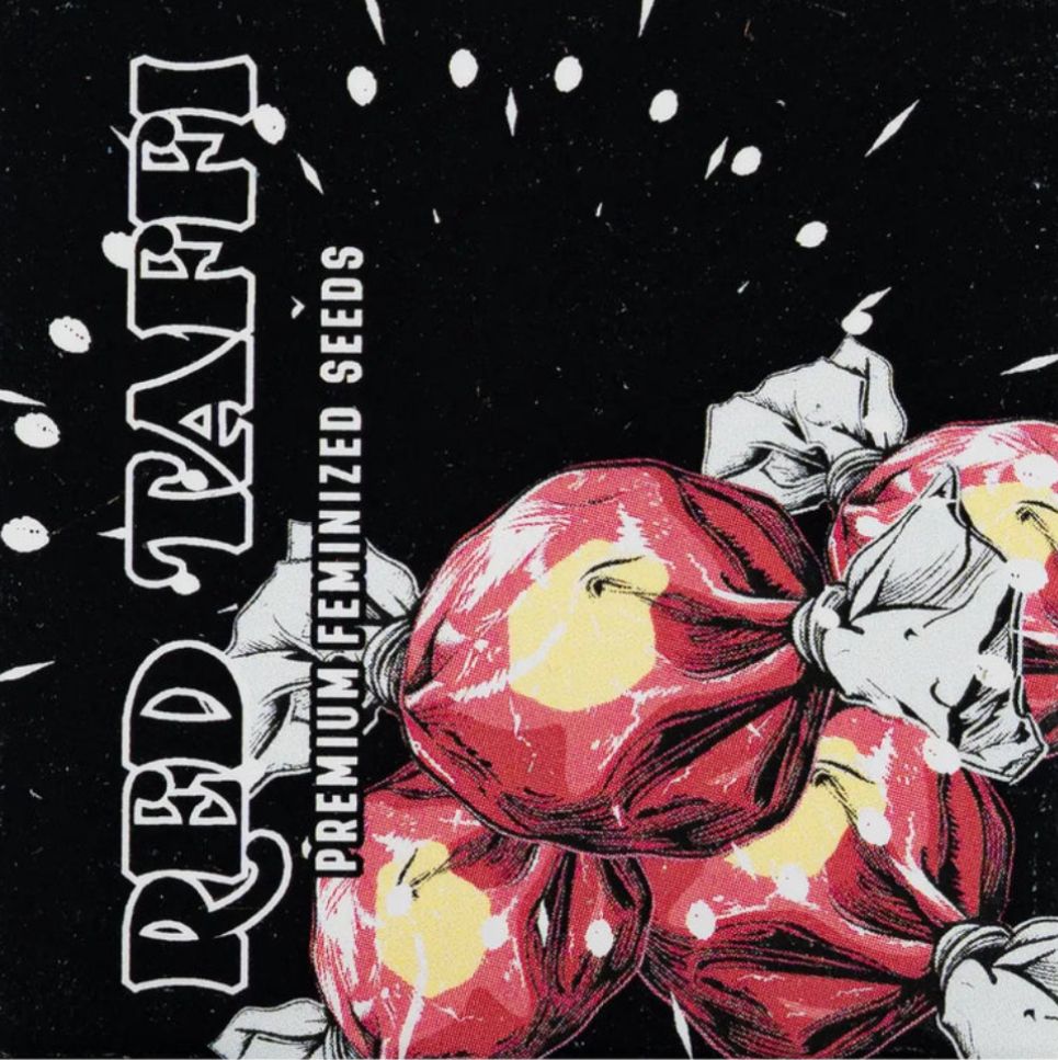 Doja Seeds - Red Taffi - 6 stk.